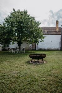 A garden outside Ferienwohnung Morgensonne