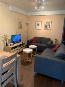 ein Wohnzimmer mit einem Sofa und einem TV in der Unterkunft Hengelhoef Acacia 3 in Drijhoeven