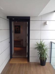 塔拉戈納的住宿－Stunning & Modern Penthouse - Rambla - City centre，走廊上,在房间里放着盆栽植物