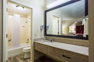 een badkamer met een wastafel, een toilet en een spiegel bij Hotel Oxford, a Travelodge by Wyndham in Oxford