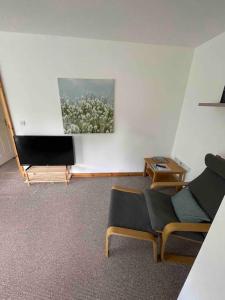 a living room with chairs and a flat screen tv at Modern Apartment by river - 20 mins to Belfast in Dunadry