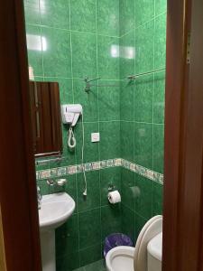 een groene badkamer met een wastafel en een toilet bij Hotel Pavo in Tbilisi City