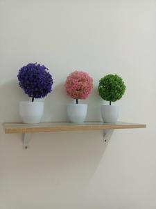 cuatro plantas en tazones blancos en una estantería de madera en Celine's Homestay en Taiping