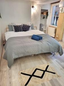um quarto com uma cama grande e um tapete no chão em studio cosy rdc centre Laval vu château et jardin em Laval