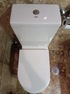 een wit toilet in een badkamer met een aanrecht bij Apartamentos Luxury Puente de Triana in Sevilla