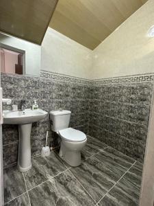 庫塔伊西的住宿－Happy House，一间带卫生间和水槽的浴室