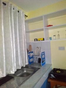 a kitchen with a sink and a white curtain at BASICS HOME STAYS in Nairobi