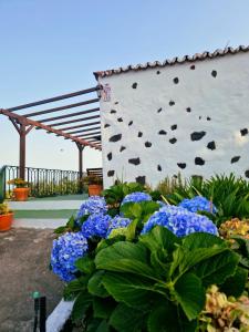 un jardín con flores azules frente a un edificio en Casita Canaria con Vista en Breña Baja