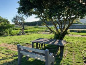 South Bird Inn في مينامبيوسو: كرسي خشبي جالس بجانب شجرة في حقل