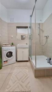 a bathroom with a washing machine and a shower at Finnem Rentals Kyjevská in Prague
