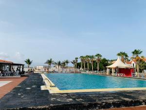 a swimming pool at a resort with palm trees at Casa Mar e Sol - Murdeira - Ilha do Sal in Palha Verde