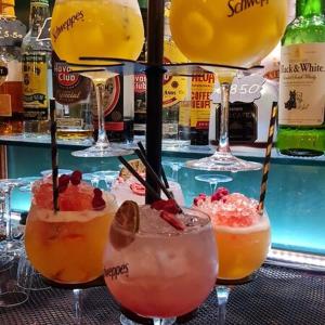 - un groupe de trois cocktails assis au bar dans l'établissement Marlay Grange Luxury Guest House, à Dublin