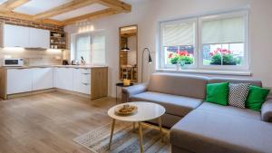 德魯哈法的住宿－Apartmán Vrátna，带沙发和桌子的客厅以及厨房。