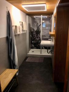 a bathroom with a shower and a sink at Haus Huber in Bad Hindelang