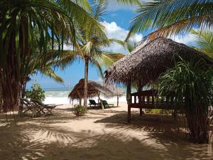 een strand met een hut en palmbomen en de oceaan bij Ibisbird Beach Bungalow in Tangalle