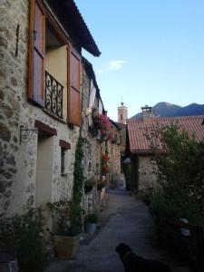 un perro caminando por un callejón en un edificio viejo en Gite Montagne Mercantour, en Valdeblore