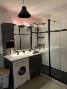 a bathroom with a washing machine and a shower at Agréable Loft aux portes de bordeaux in Artigues-près-Bordeaux