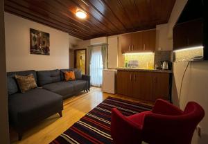 a living room with a couch and a kitchen at Lily Mansion in Istanbul