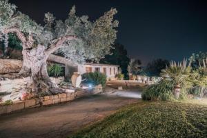 O grădină în afara villa palmi +6 fotografii