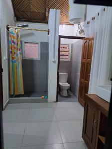 bagno con doccia e servizi igienici di VILLA LUXURY a Mahajanga