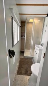 a small bathroom with a toilet and a shower at PURE - Chalet Zeeland - garden out of sight in Hoek