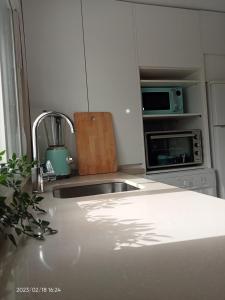 uma cozinha com um lavatório e um micro-ondas em Luminosa habitación em Sevilha