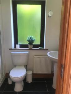 a bathroom with a toilet and a sink and a window at Evenly Balanced in Killarney