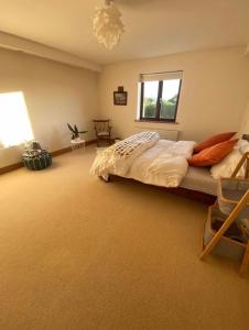 a bedroom with a large bed and a window at Evenly Balanced in Killarney