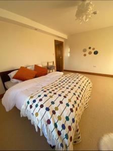 een slaapkamer met een groot bed en een kleurrijk dekbed bij Evenly Balanced in Killarney