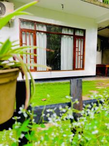 a house with a window and plants in front of it at Be My Guest in Ella