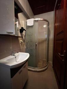 a bathroom with a shower and a sink at Lily Mansion in Istanbul