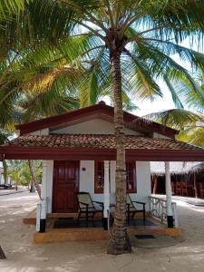 a small house with two chairs and a palm tree at Ibisbird Beach Bungalow in Tangalle