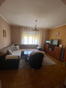 Apartmani Djurisic في مويكوفاتش: غرفة معيشة مع أريكة وطاولة