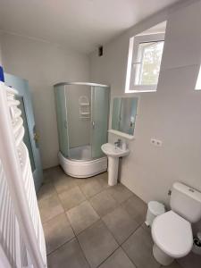 La salle de bains est pourvue d'une douche, de toilettes et d'un lavabo. dans l'établissement Green Kitchen Apartments, à Moukatcheve