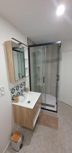 un bagno con lavandino e doccia di Appart Cosy Place Saint-Jean a Niort Altre 25 foto