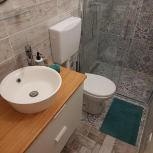 een badkamer met een wastafel, een toilet en een douche bij Apartman Pelargo in Poljana
