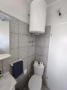 ein Badezimmer mit einer weißen Toilette und einem Waschbecken in der Unterkunft Kanica seaside apartment Roko 10 m from sea in Sevid + 23 Fotos