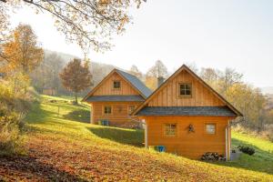 two wooden homes on a hill in the fall at Domki Pod Dębem in Błądzonka +15 photos