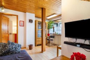 a living room with a flat screen tv on a wall at Dachwohnung Schneider Bingen in Mengen