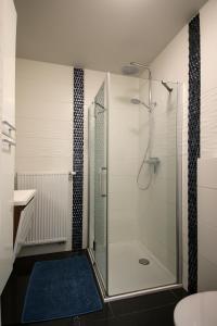 een badkamer met een glazen douche en een blauw tapijt bij Villa Appartement Amaryllis in Nieuwpoort