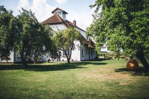 una casa blanca con árboles en el patio en Pension Schwalbenhof, en Klausdorf, Mecklenburg-Vorpommern