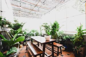 a room filled with lots of plants and a table and benches at Kar-Wai's in Ho Chi Minh City