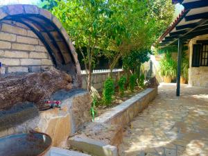 Κήπος έξω από το Windy Inns ( Maistros I )