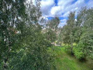 un grupo de árboles en un campo con cielo en Birch view apartment, en Jelgava