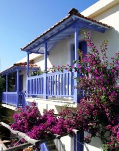 uma casa com uma varanda azul e flores roxas em Chiliadromia Studios em Alonnisos Old Town