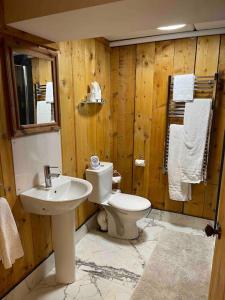 a wooden bathroom with a toilet and a sink at Bijou Apartment in Spanish Point in Spanish Point