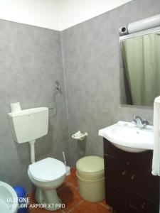 een badkamer met een toilet, een wastafel en een spiegel bij D. Carlos Residencial in Caldas da Rainha
