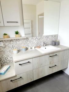 a bathroom with a sink and a mirror at Le Gîte "Aubrac" Haut de gamme, Jardin, Piscine in Gabriac