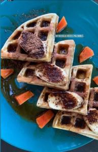 um monte de waffles num prato azul em Freesoul Hostel em Palomino