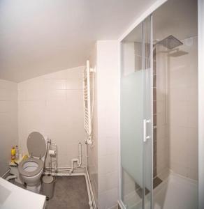 a white bathroom with a toilet and a shower at Charmant DUPLEX - centre de Fontainebleau in Fontainebleau